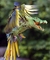 next image (147)