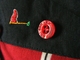 previous image (5218)