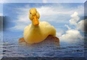 previous image (9097)