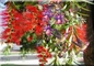 previous image (9378)