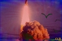 next image (9392)