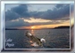 previous image (9437)