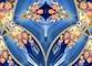 previous image (DISTORT)