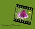 previous image (Spring Dream)