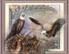 previous image (eagles fly)