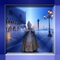 previous image (9491)