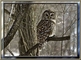 previous image (9544)