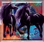 next image (HORSES)