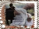 previous image (9604)