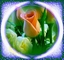 next image (9615)