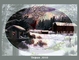 previous image (9703)