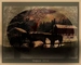 next image (HORSES)