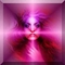 previous image (9708)