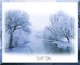 previous image (9711)