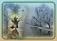 previous image (9714)