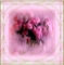 previous image (9718)