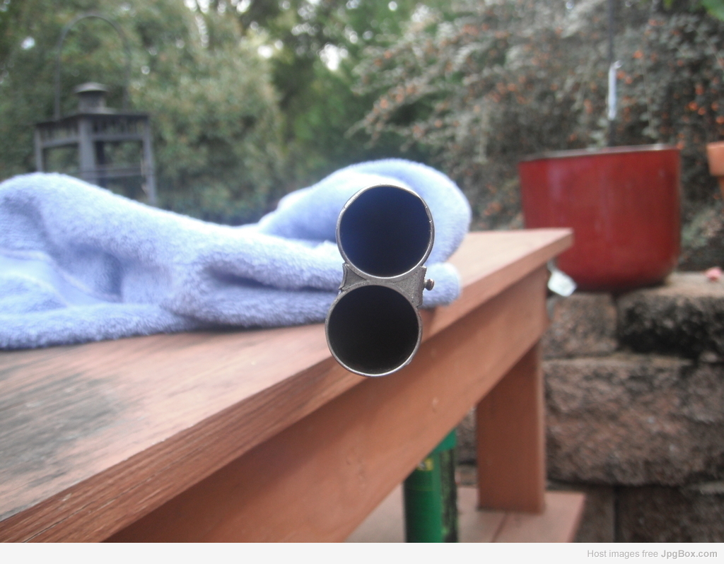 Image 45719
