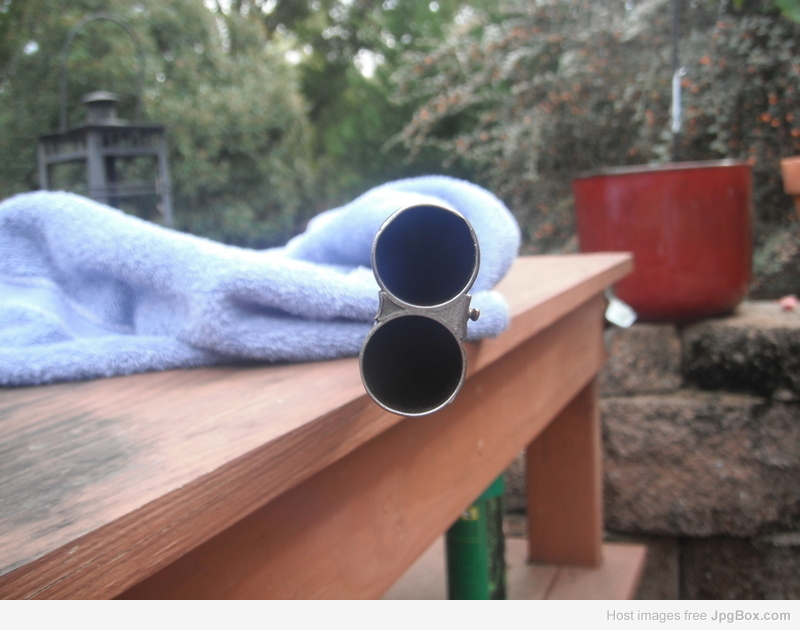 Image 45719