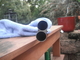 Image 45719