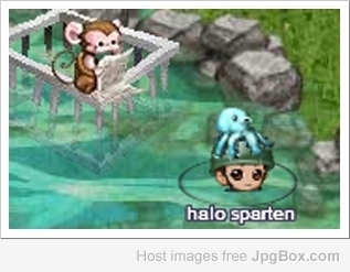 Monkeys can be hazardous to your octopus's health.