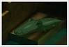 zOMG! gator 2