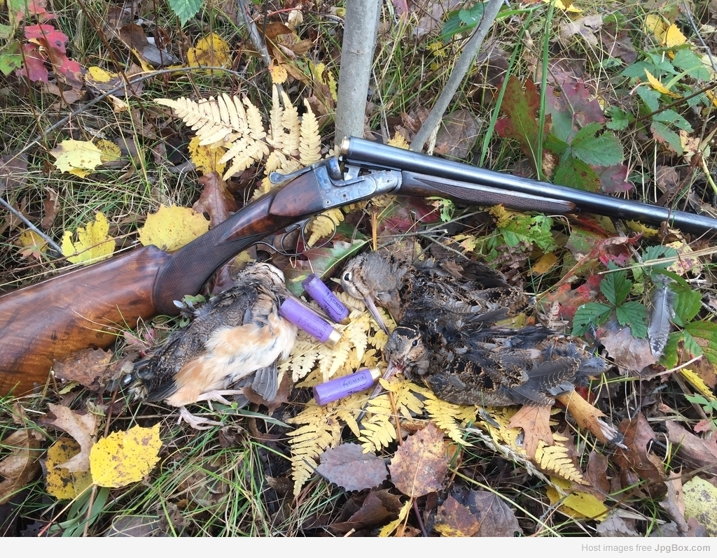 French 16 w/woodcock