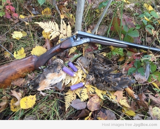 French 16 w/woodcock