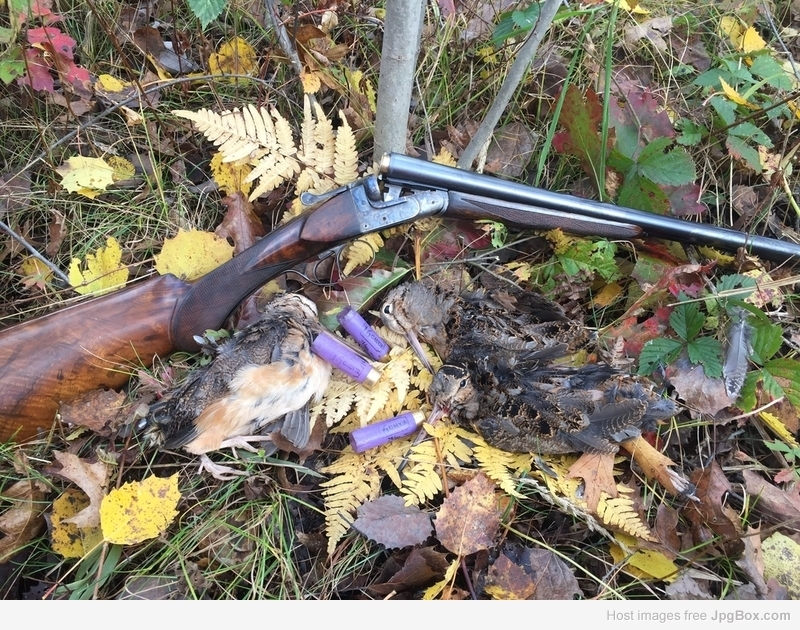 French 16 w/woodcock
