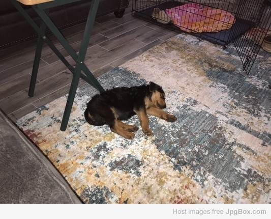 Image 53832