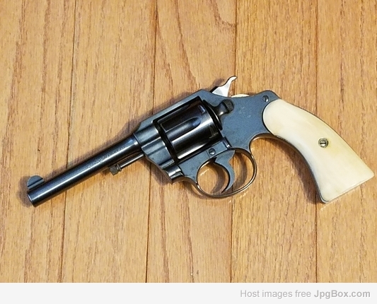 Colt Police Positive