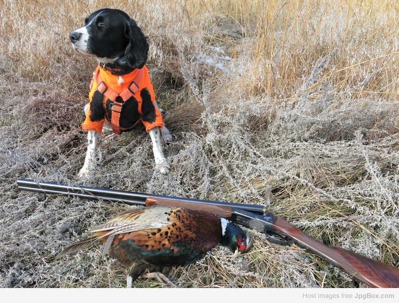11-13-2018