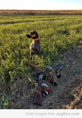 Cooper South Dakota 2018