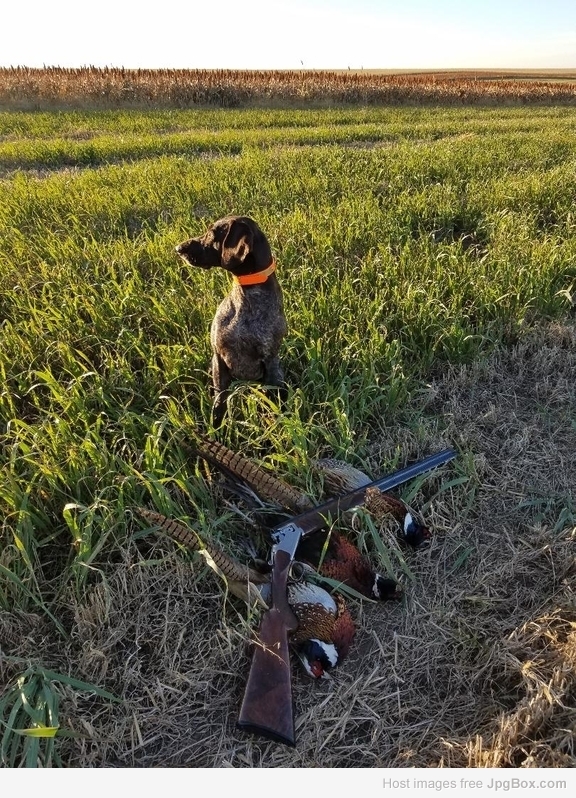 Cooper South Dakota 2018
