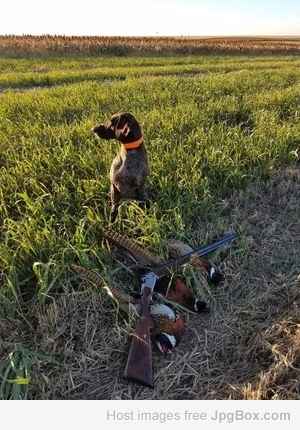 Cooper South Dakota 2018