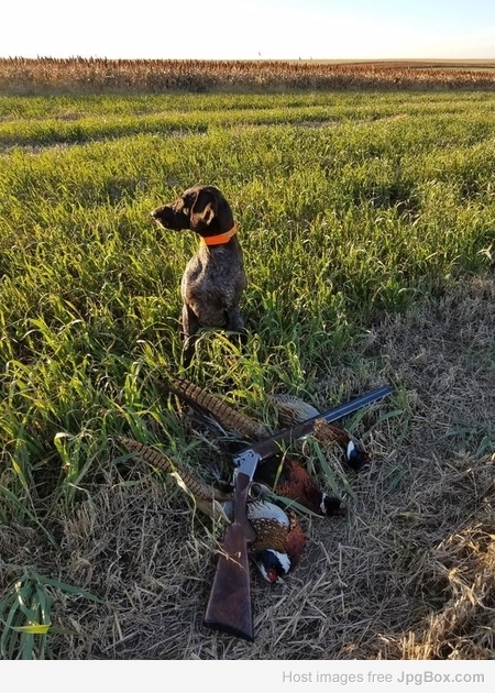 Cooper South Dakota 2018