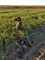 Cooper South Dakota 2018