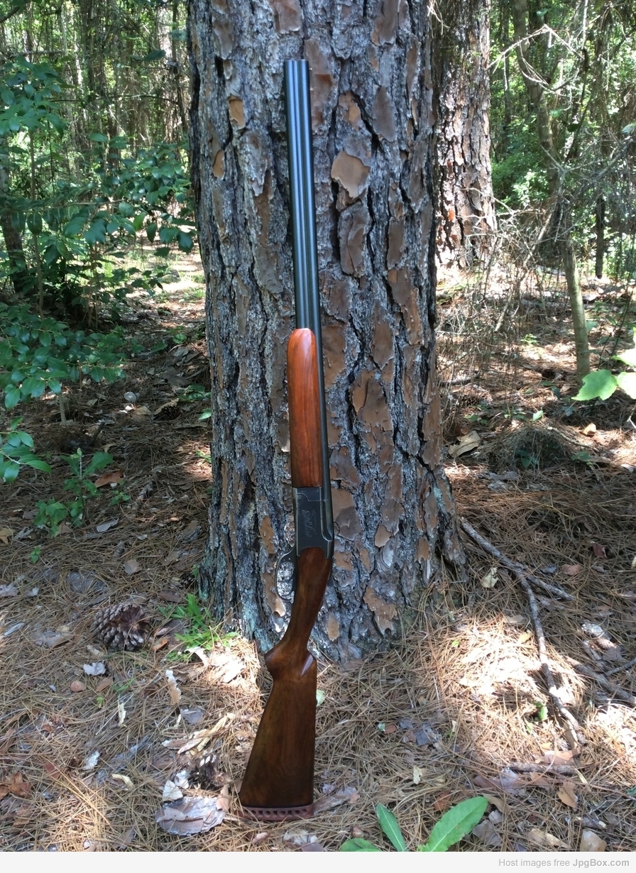 Marlin model 90 16 ga