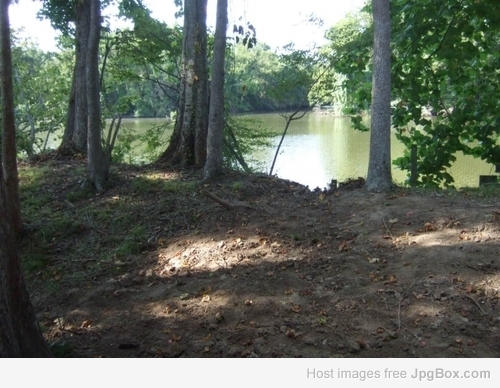 The view out of my computer room window here at my new home on Grand River, Bayou Sorrel, LA