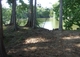 The view out of my computer room window here at my new home on Grand River, Bayou Sorrel, LA
