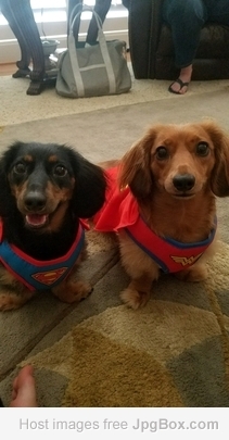 Ruger & Remi