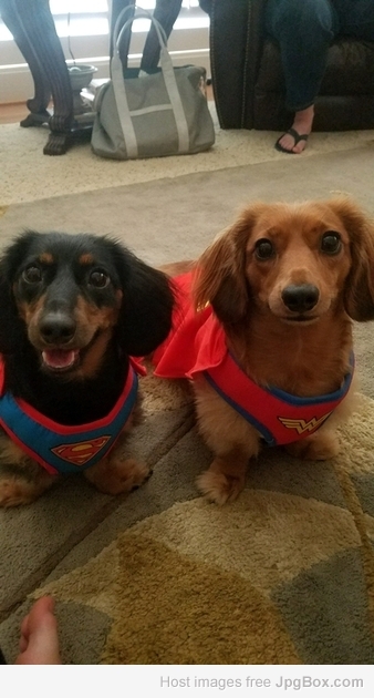 Ruger & Remi