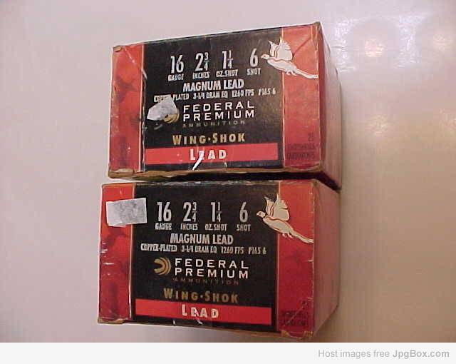 [Linked Image from jpgbox.com]