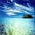Cmapтфoны-aйфoны