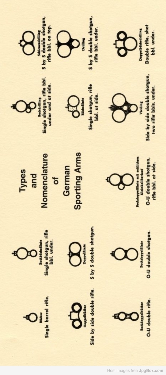 Image 64375