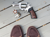 Slipper shot - Ruger GP100