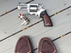 Slipper shot - Ruger GP100
