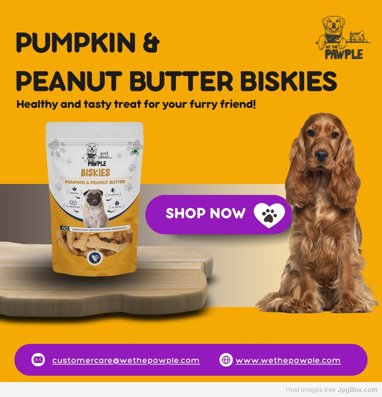 Pumpkins & Peanut Butter Biskies by We The Pawple