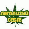 Междугородние грузоперевозки автотранспортом