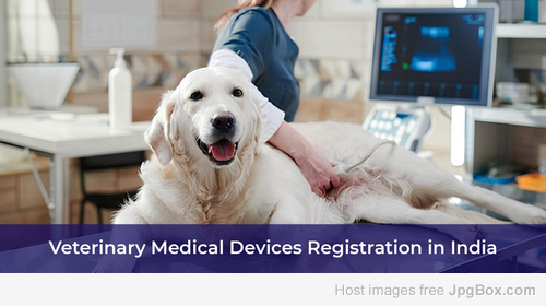 How to Get Veterinary Medical Devices Approved in India – A Complete CDSCO Guide