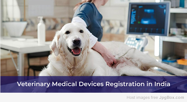 How to Get Veterinary Medical Devices Approved in India – A Complete CDSCO Guide